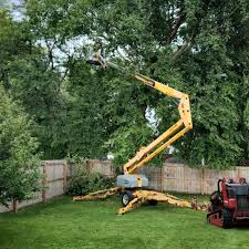 Best Organic Lawn Care Solutions  in Culloden, WV