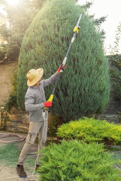 Lawn Drainage Solutions in Culloden, WV